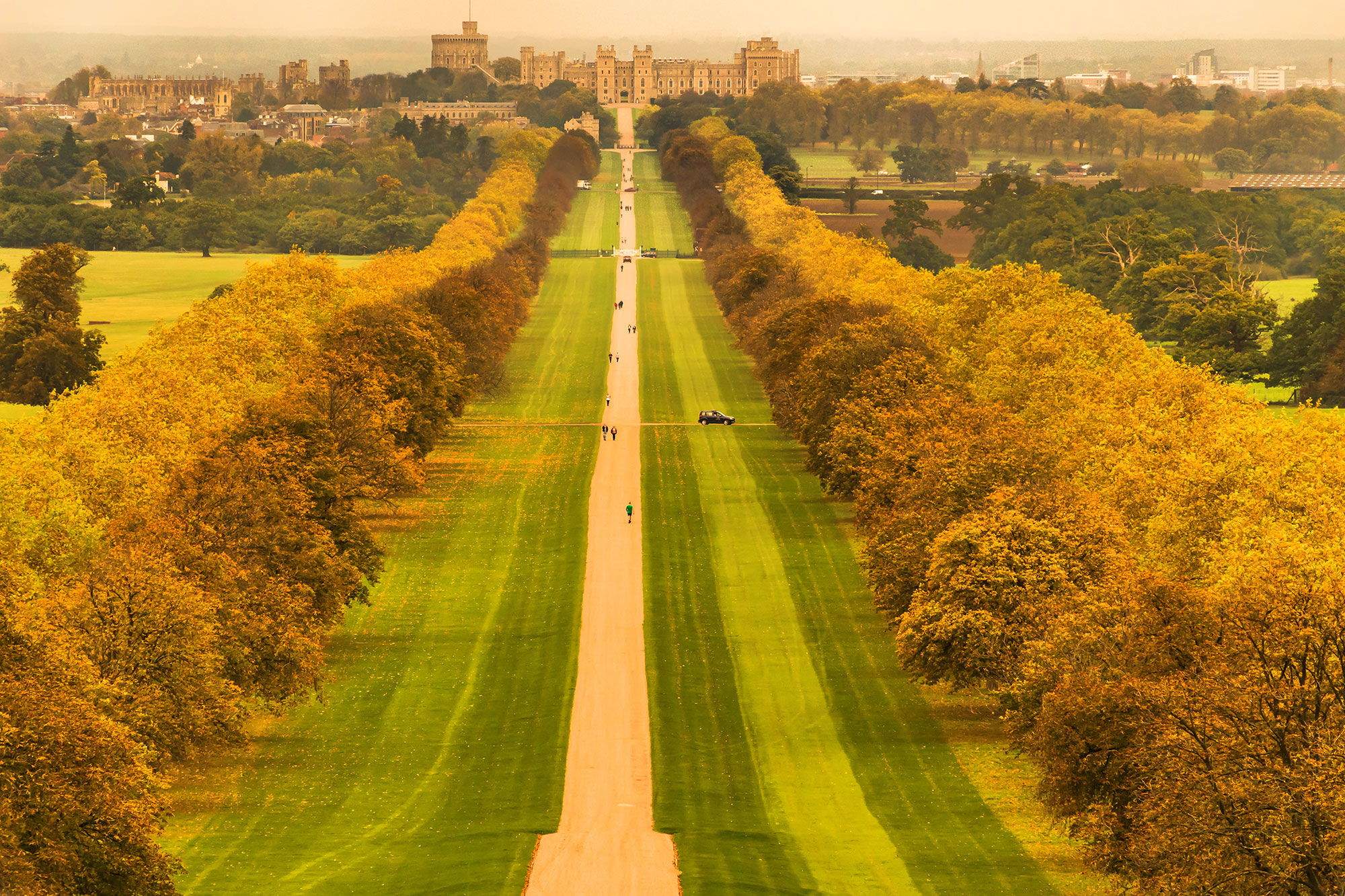 Windsor-Great-Park---The-Long-Walk